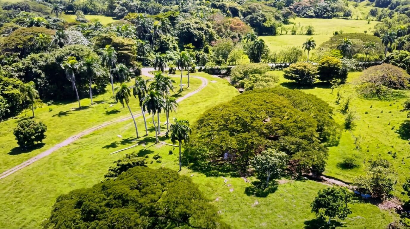 Annotated aerial masterplan based on the real terrain of Playa Magante
